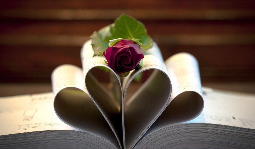 Роза на свернутых листах книги