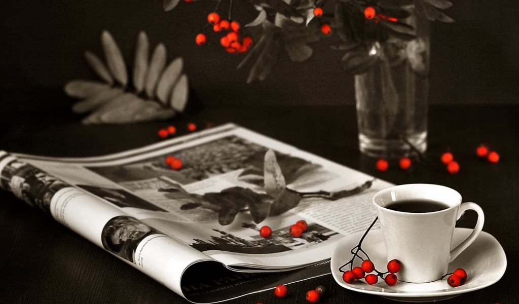 Ягоды рябины на столе и журнале