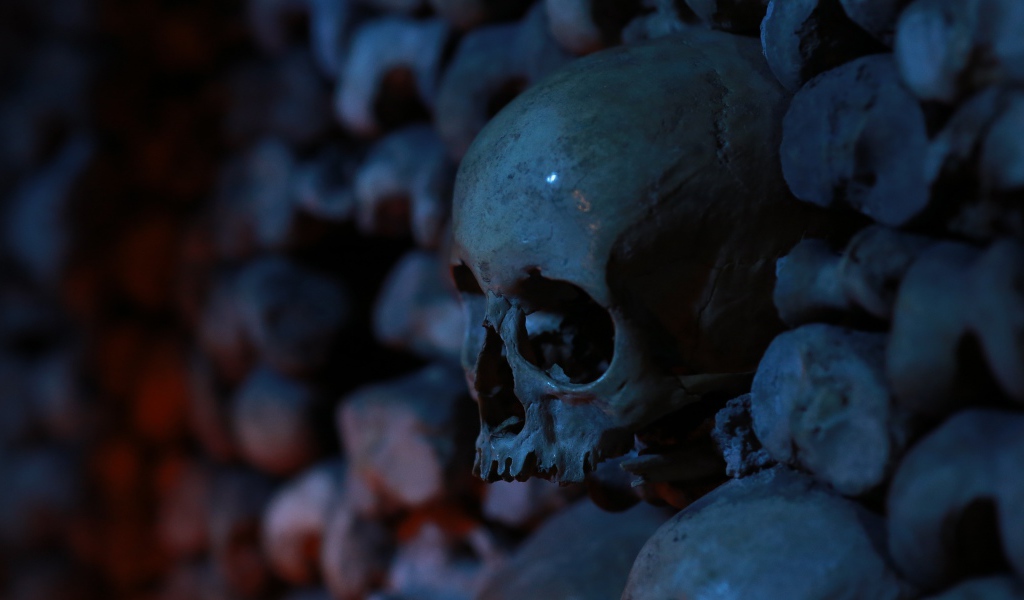 Череп среди костей в склепе