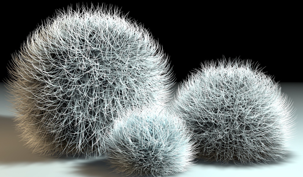 Шарики из мха