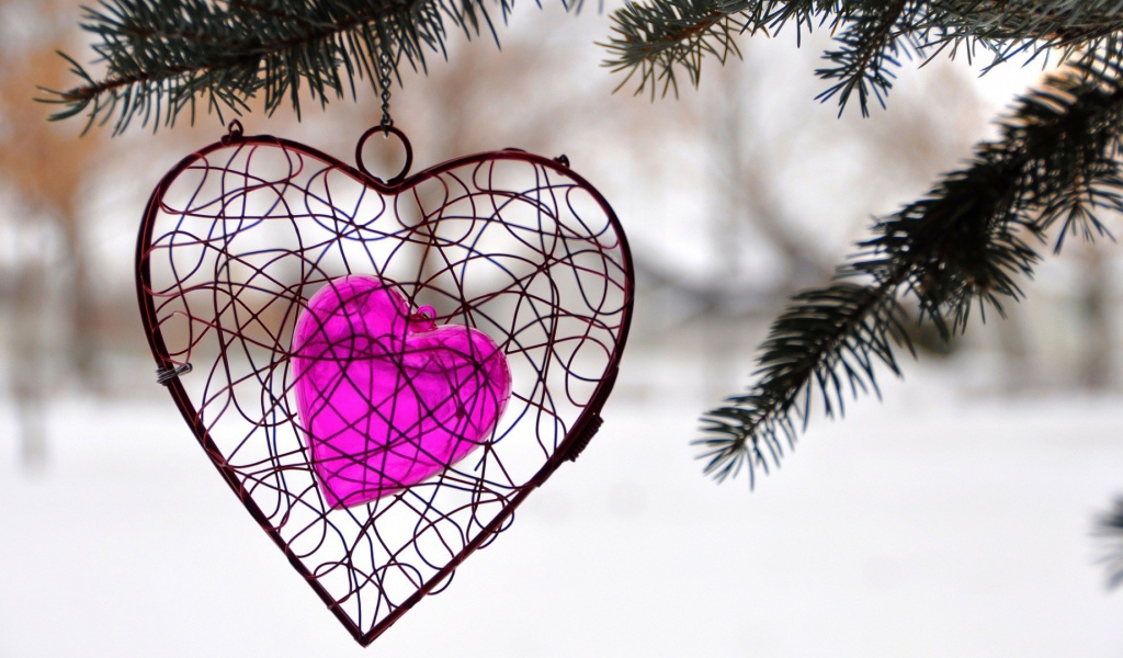 Украшение в виде сердца висит на ветке ели