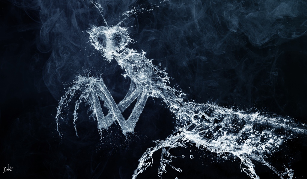 Фигурка богомола из воды