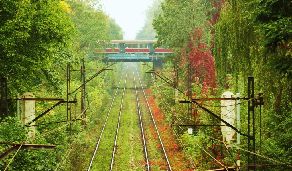 Пересечение железнодорожных путей