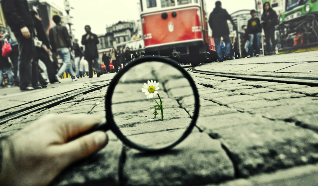 Воля к жизни, достойная уважения