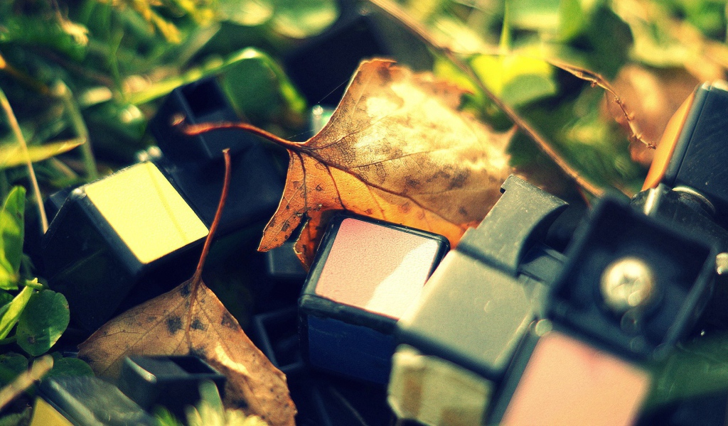 Обломки от кубика Рубика лежат среди листьев