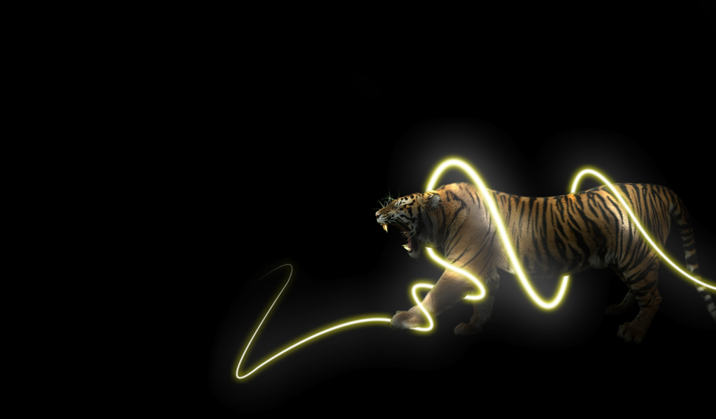 Тигр в энерго спирали