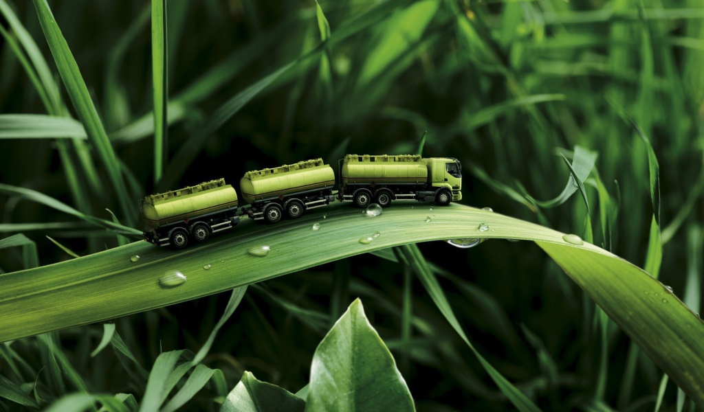 Игрушка на траве