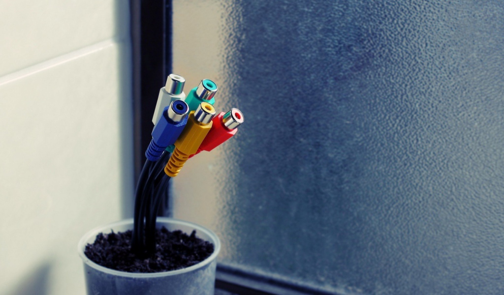 Тюльпаны в горшке