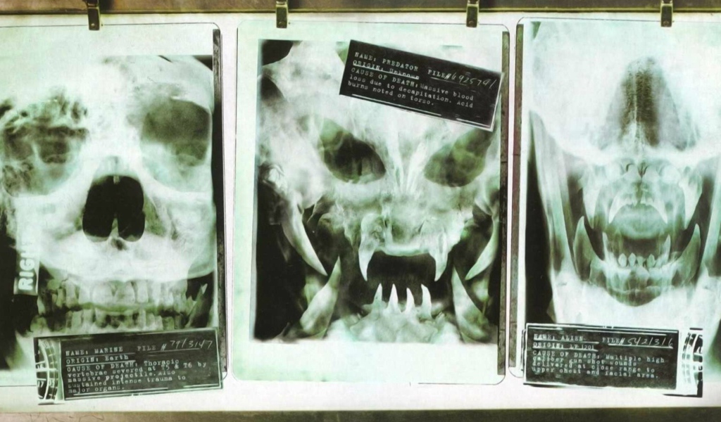 Рентгеновские снимки опасных созданий