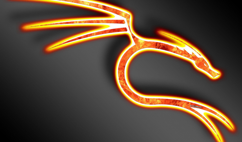 Знак огненного дракона