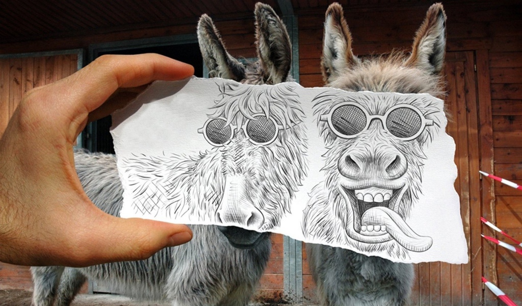 Рисунок поверх фото ослов