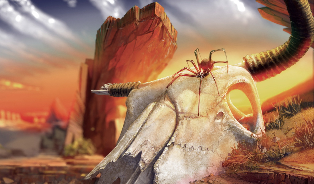 Паук на черепе