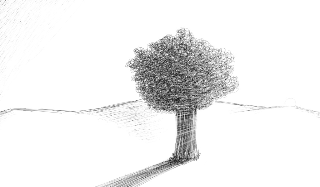 Tree in the desert, pencil drawing