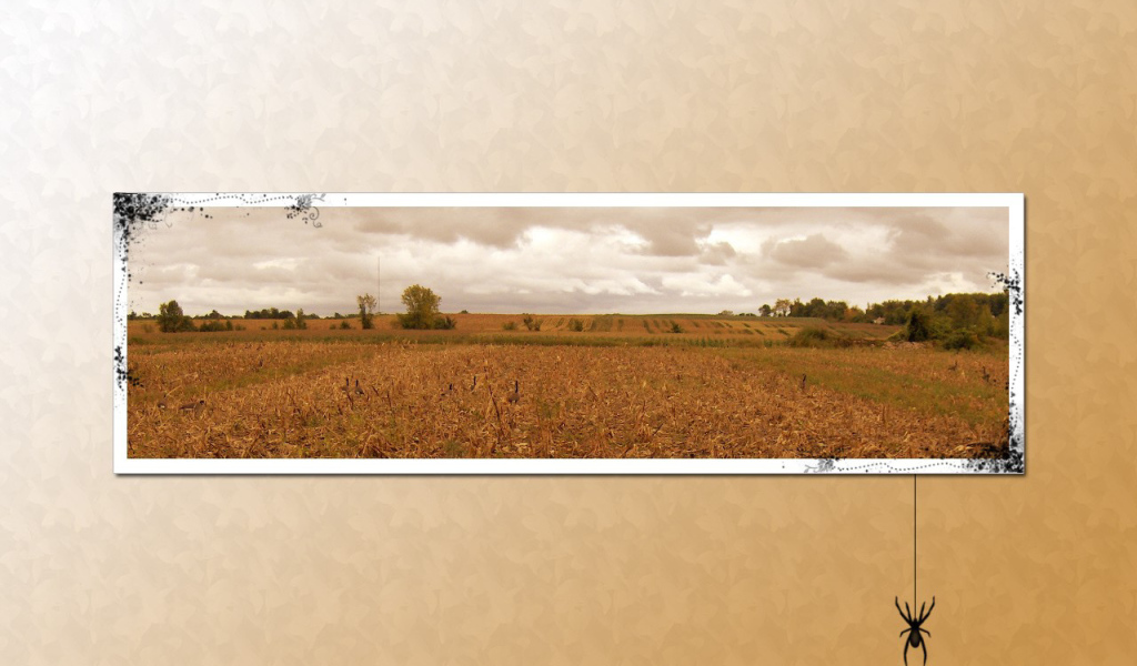 Паук на картине