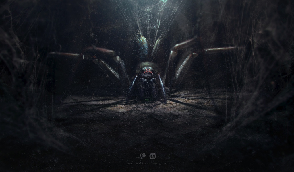 Огромный паук в своем логове