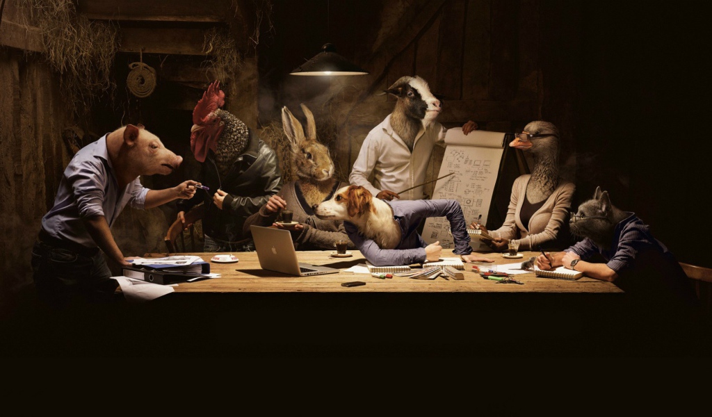 Животные на совещании