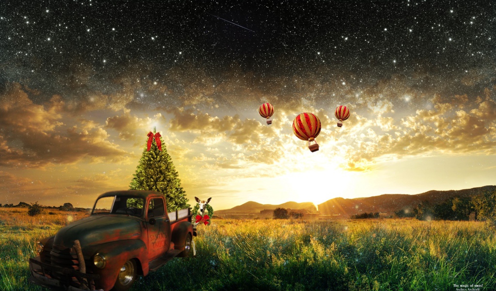 Воздушные шары улетают к звездам