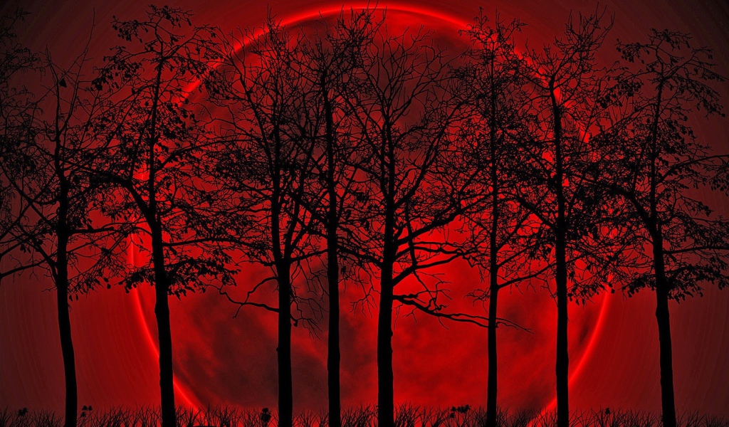 Кровавая луна позади деревьев