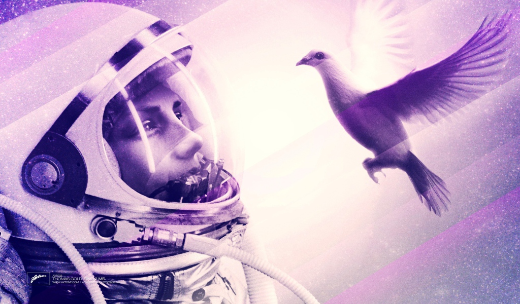 Космонавт смотрит на птицу