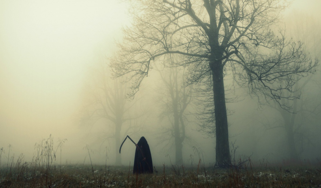 Смерть в темном лесу