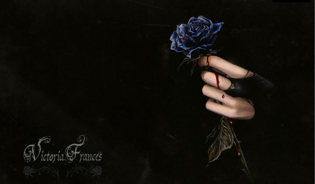 Капли крови на розе и руке