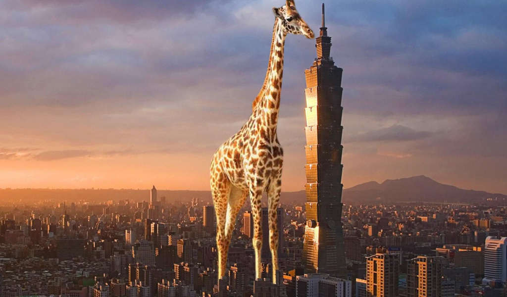 Жираф выше небоскреба