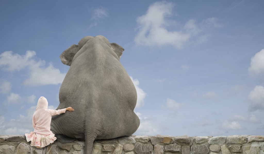 Девочка обнимает слона