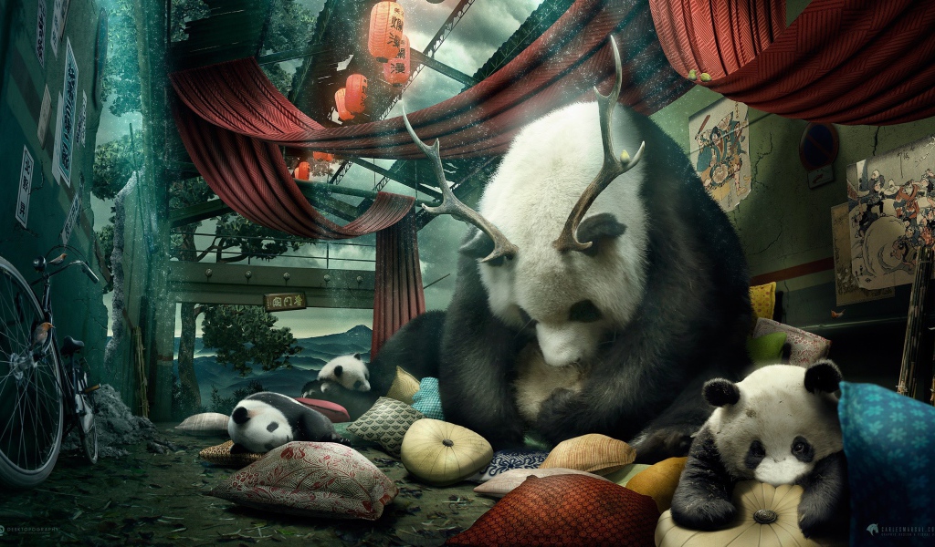 Мама панда с рогами