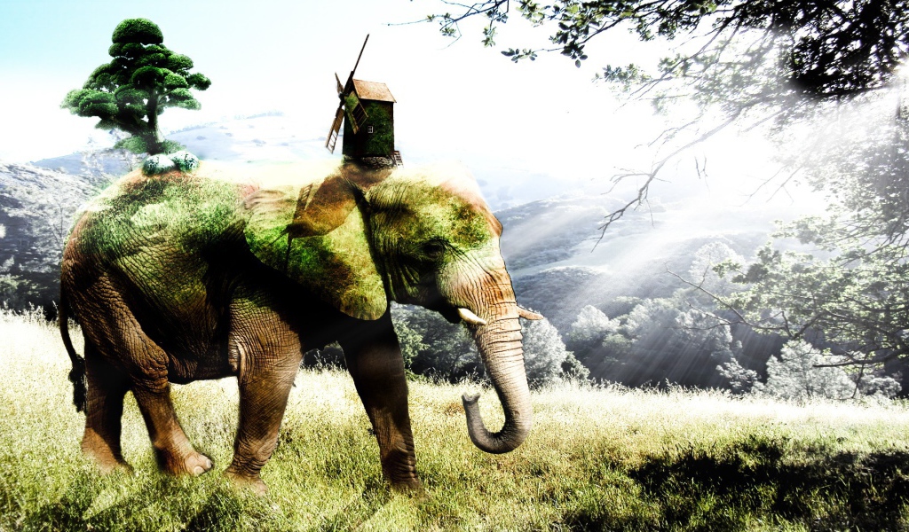 Покрытый мхом слон