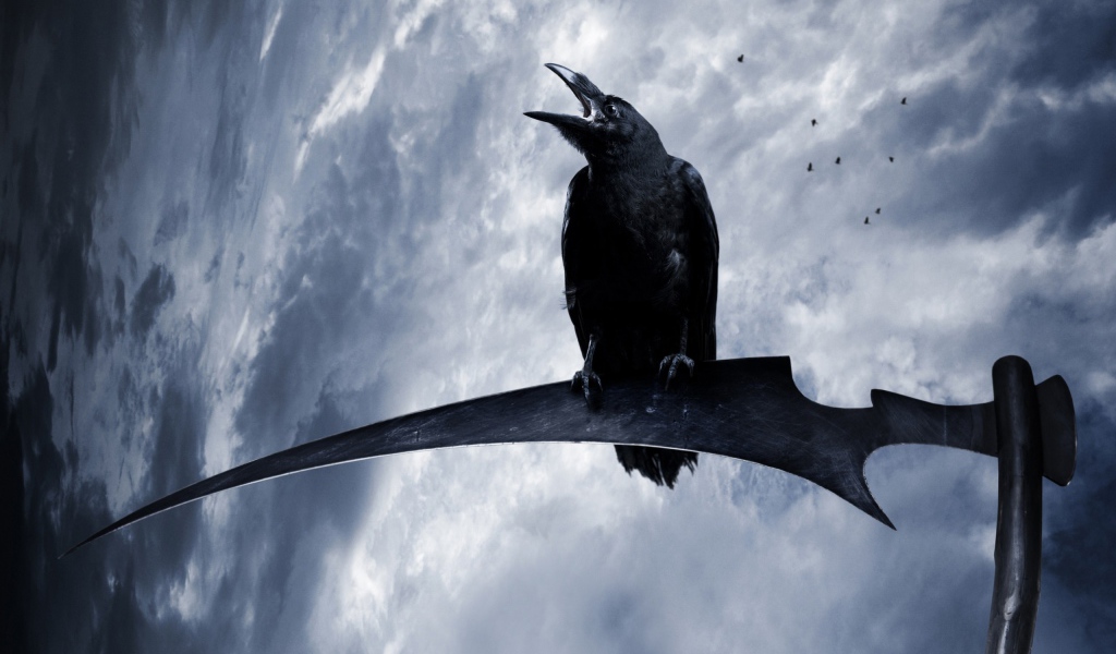 Ворон на косе