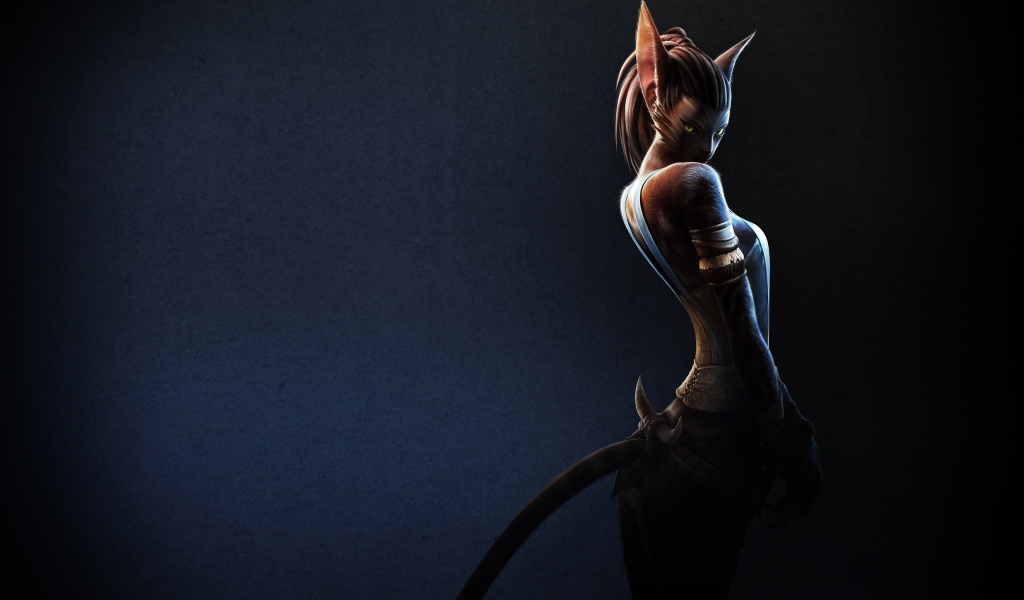 Девушка кошка, фэнтези