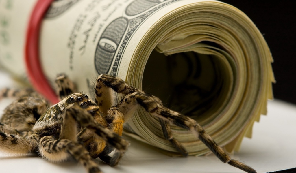 Паук и пачки долларов