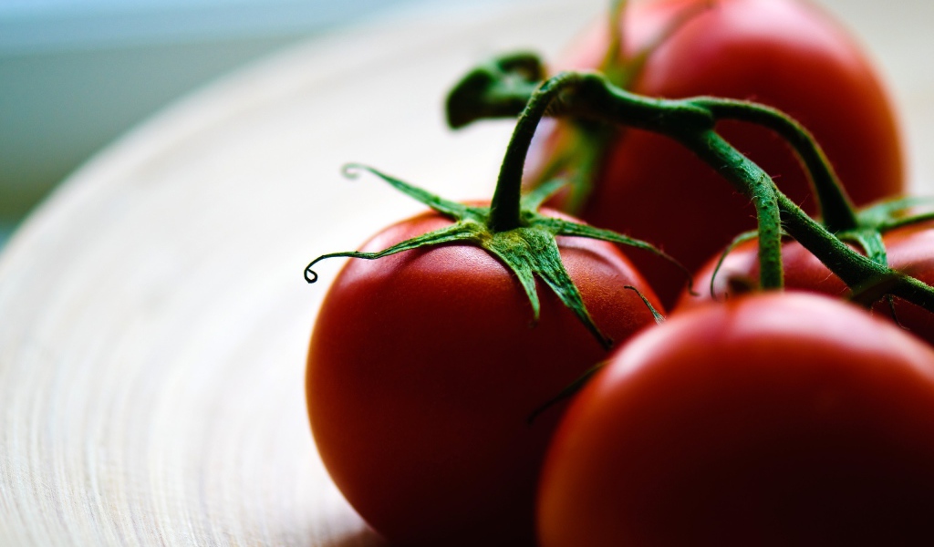 Четыре помидора на ветке