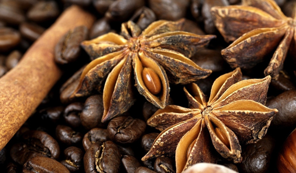 Плоды бадьянового дерева
