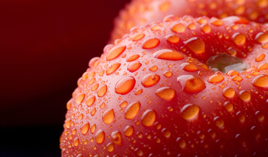 Влажный красный помидор