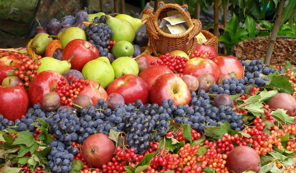 Гора из ягод и фруктов