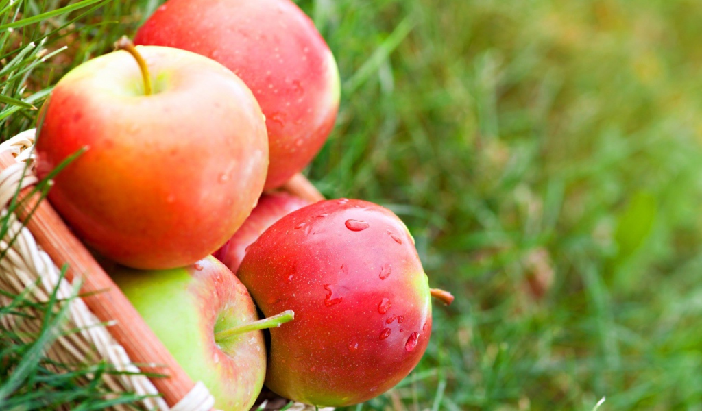 Яблоки лежат на траве