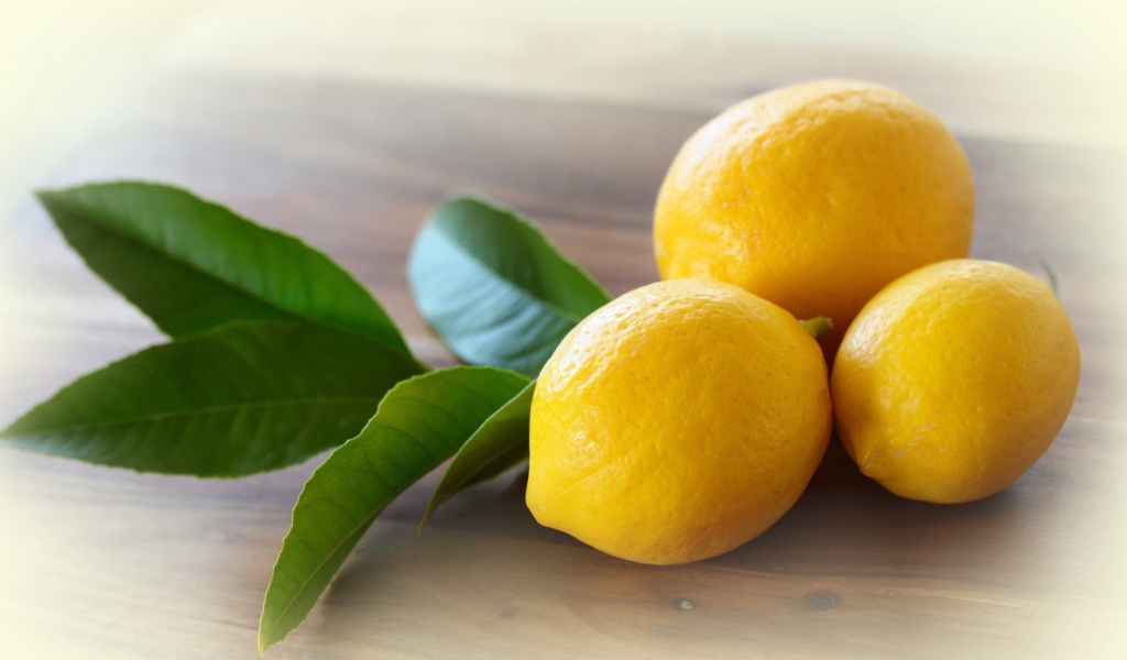 Три лимона с веточкой дерева