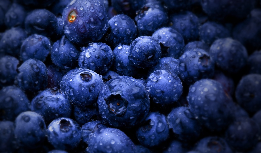 Влажные ягоды черники