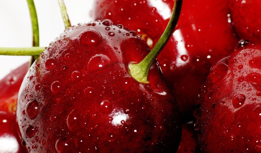 Мокрые спелые вишни