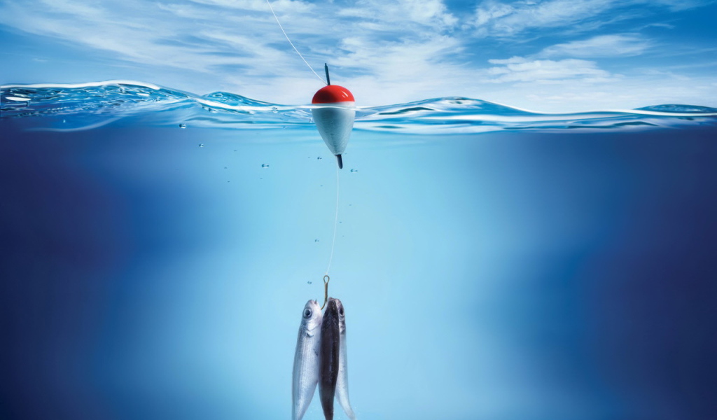 Три рыбы на крючке