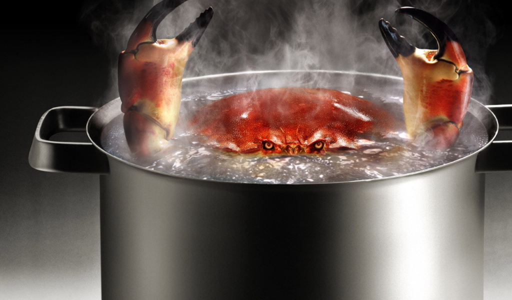 Краб в кипятке