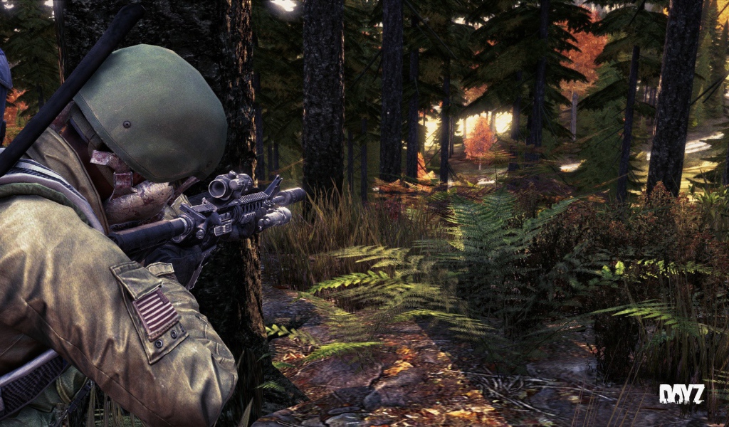 Солдат в лесу, игра DayZ