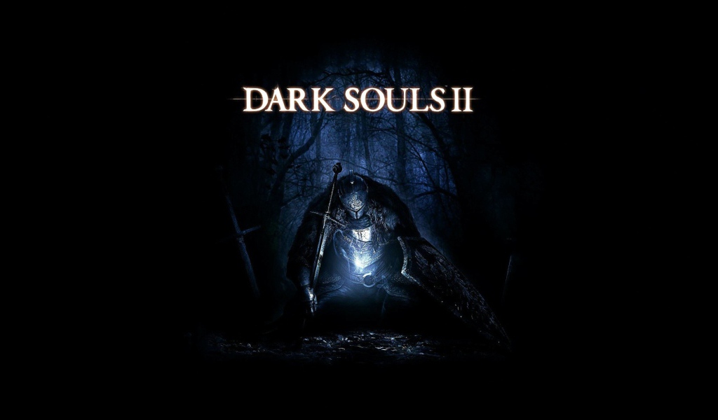 Компьютерная игра Dark Souls 2