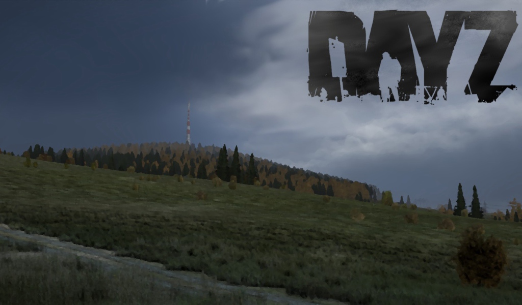 Компьютерная игра DayZ