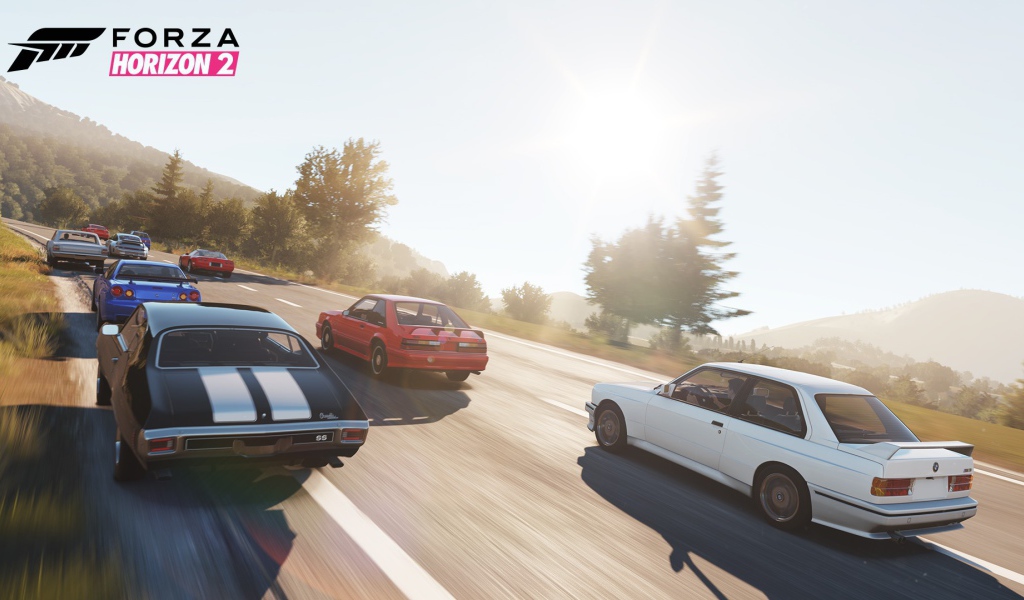 Компьютерная игра Forza Horizon 2