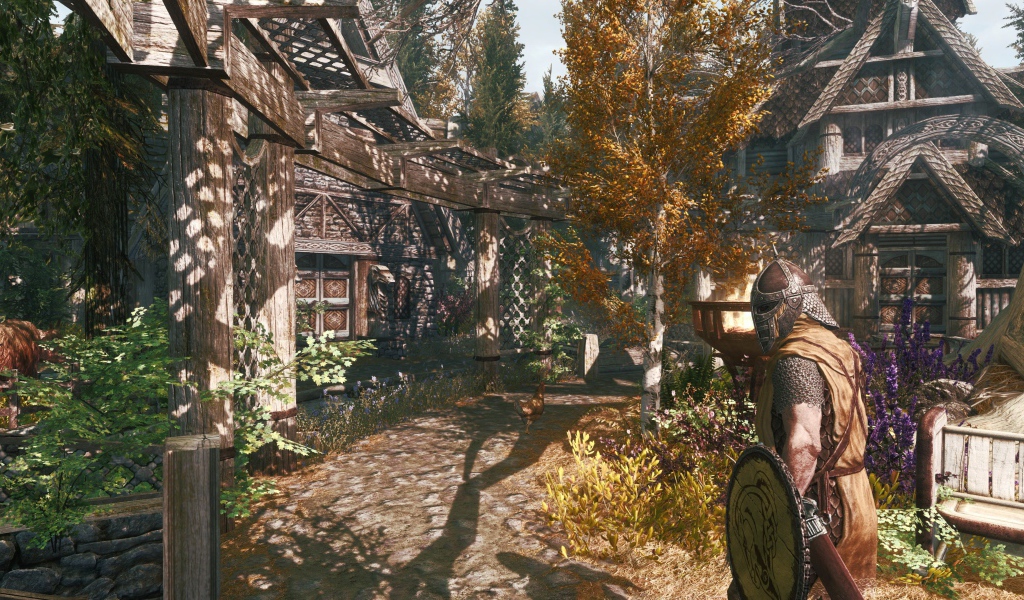 Деревня в игре The Elder Scrolls V Skyrim