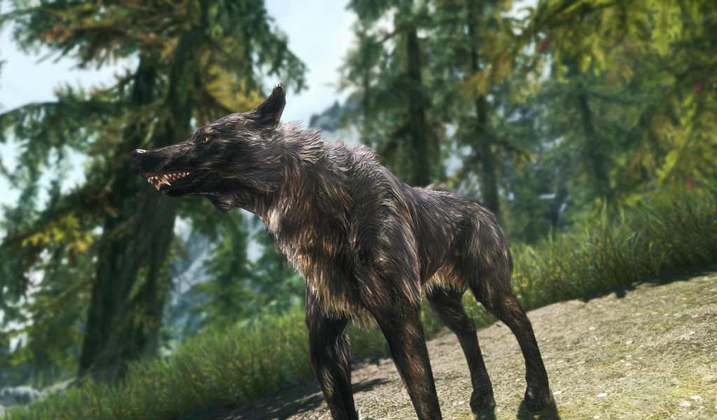 Волк в лесу, игра The Elder Scrolls V Skyrim