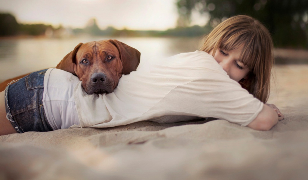 Собака положила голову на спину девушки
