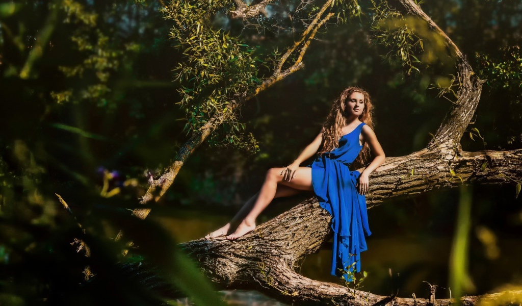 Девушка в голубом платье на дереве
